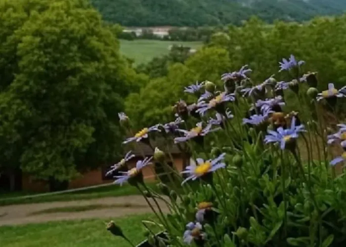 Masia La Cadamont