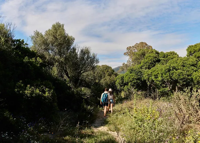 Taiga Tarifa Punta Paloma