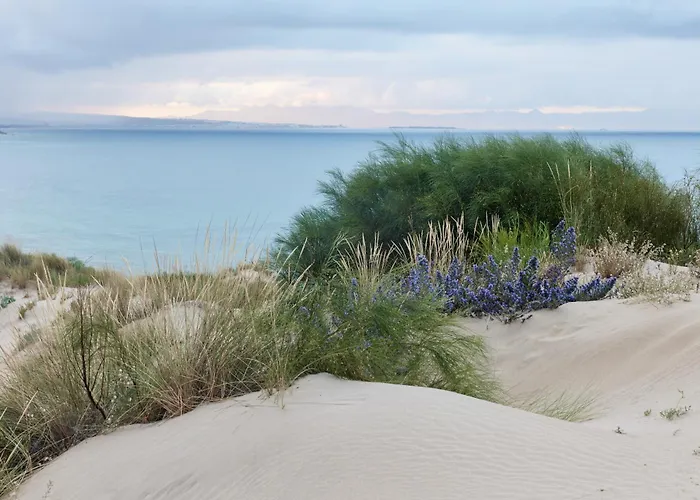 Taiga Tarifa Punta Paloma