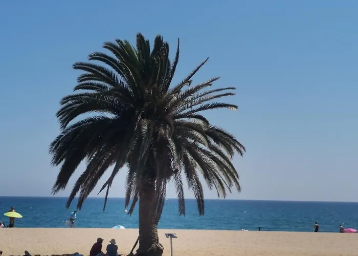 Apartamento centrico en Calella