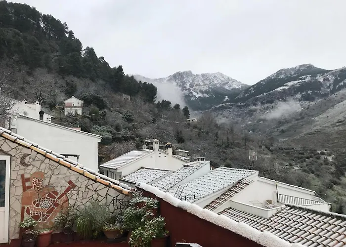 Mira Cazorla