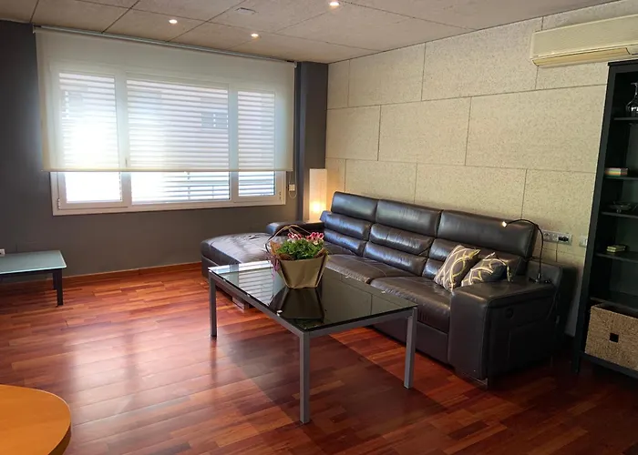 Apartament Especial Vic