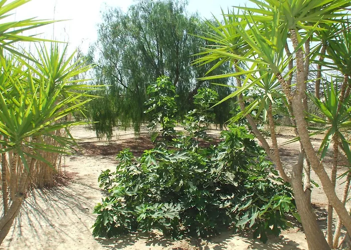 Finca Arboleda