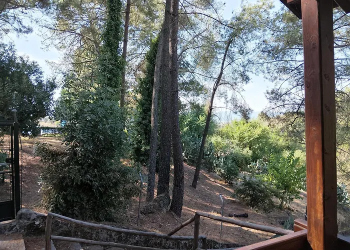 Camping La Eliza Lanzahíta