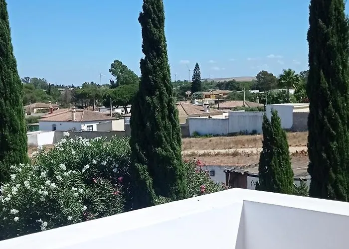 La Luciérnaga