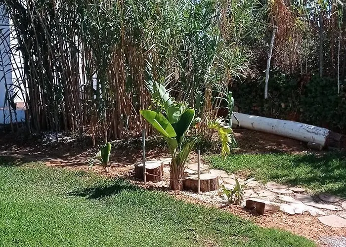 La Luciérnaga