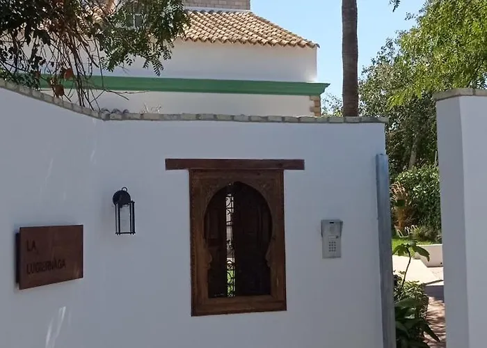 La Luciérnaga
