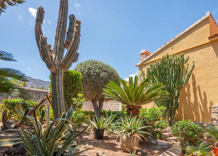 Villa With Private Pool And Tennis Court 150 Metres From The Sea-Villa El Olivo