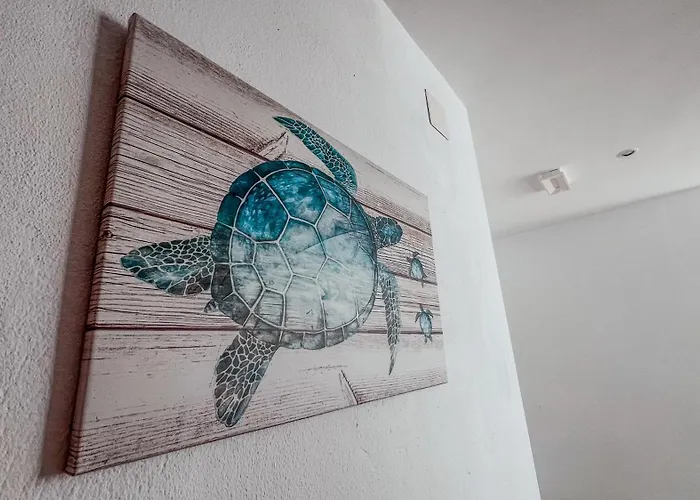 La Tortuga Lodging Rooms