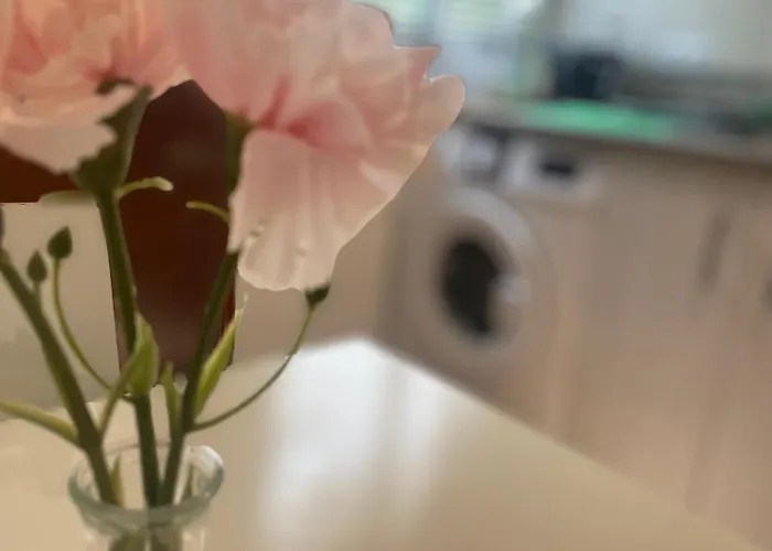 Apartamentos Lucero de Europa