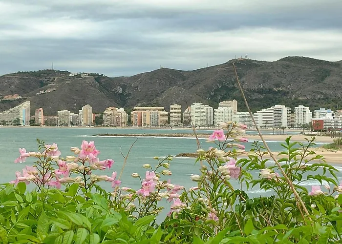 Seaviews Los Olivos