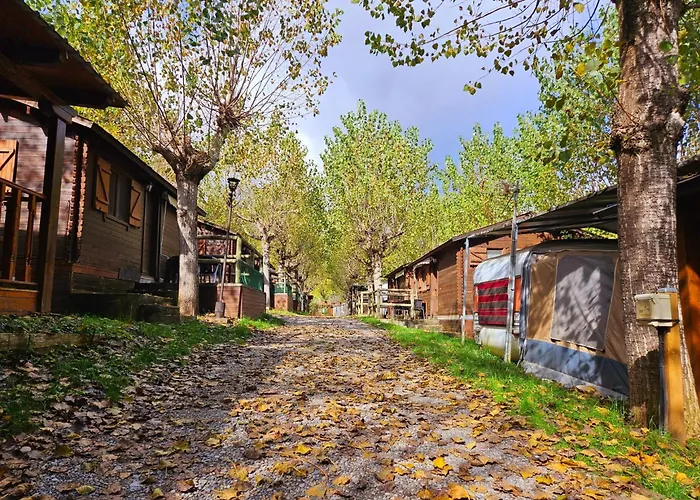 Camping Ribera Del Ara