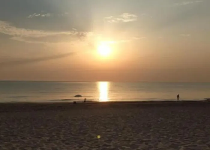 Sun & Sea Daimus