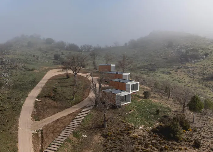 Pachán Dehesa Boyal