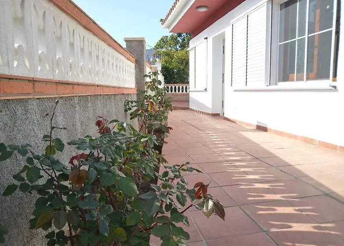 Casa Ginesta - Flamenc