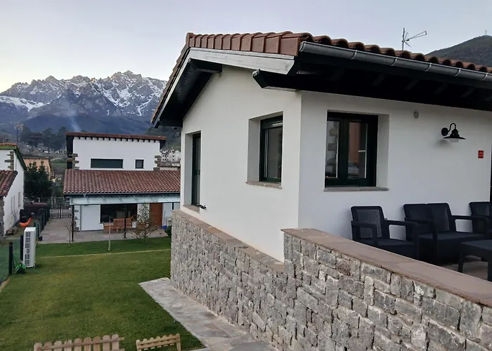 Mirando a los Picos de Europa