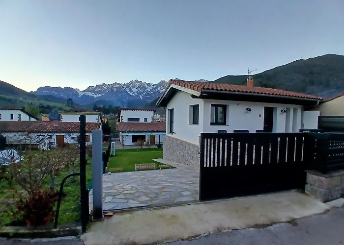Mirando a los Picos de Europa