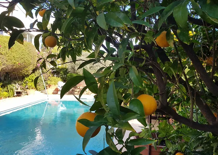 Villa Naranjo Costa Blanca