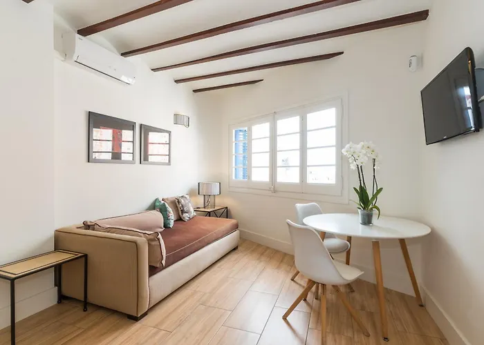 Apartamentos Mayor By Habama