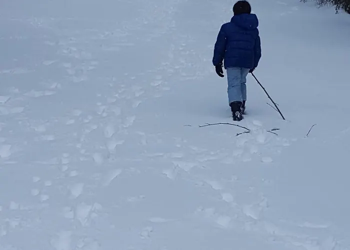 La Arbolada