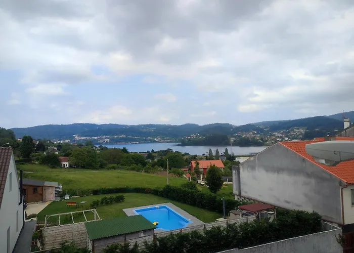 Canido con vistas