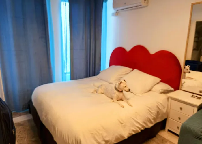 Hostal Estudios