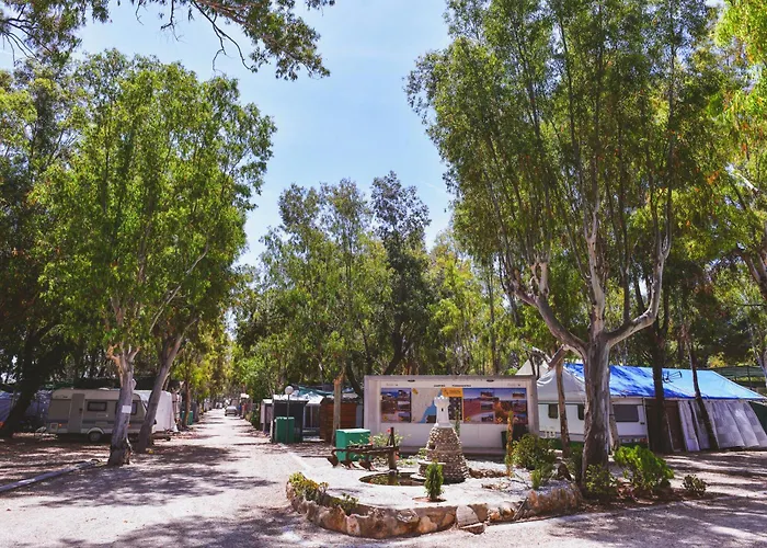 Camping Torrenostra