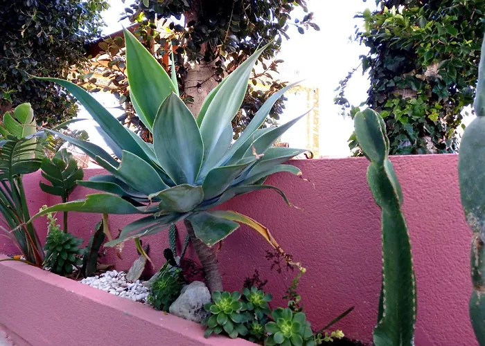 Hostal Boutique Bajío