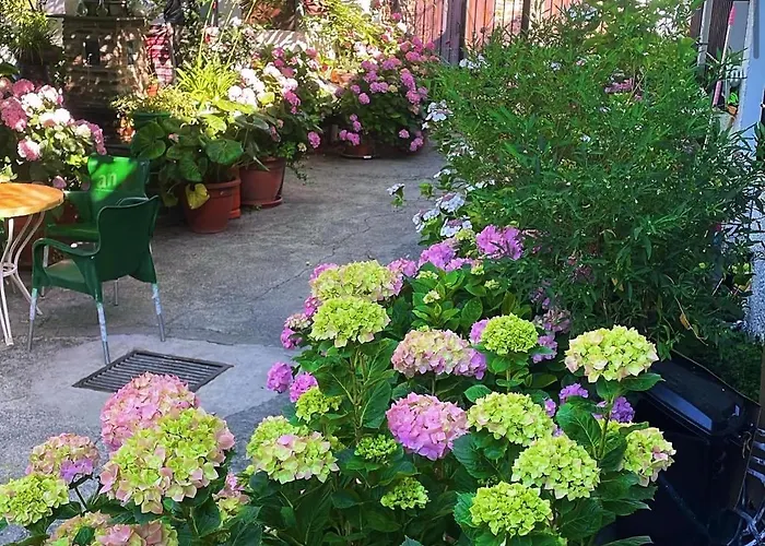 Hostal Rural Las Terrazas de la Alpujarra