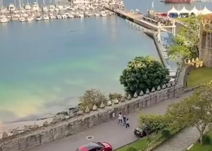 Estudio impresionantes vistas con terraza y piscina