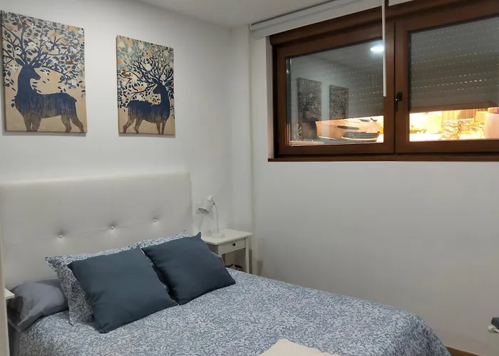Apartamento Felisa B