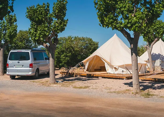 Holacamp Chilches