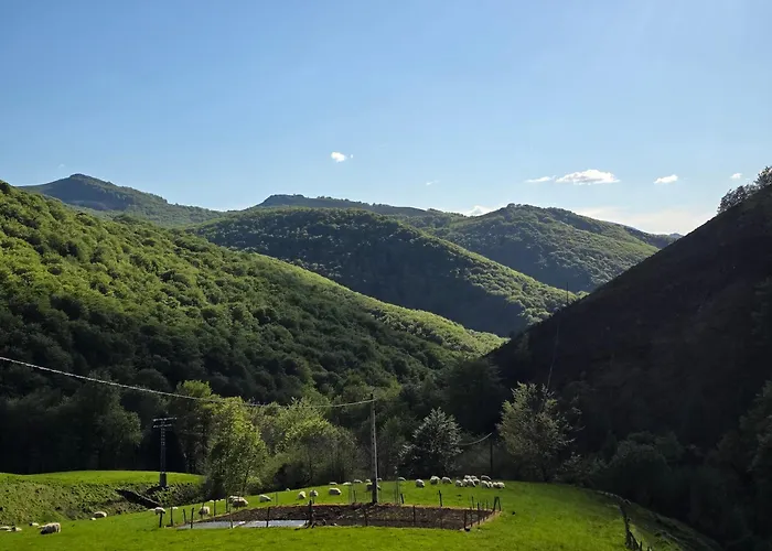 Casa Rural Urruska, Una Autentica Experiencia Rural En La Montana Del Valle De Baztan!