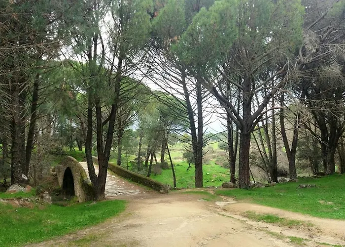 Casa Ypsilon Olive Oil