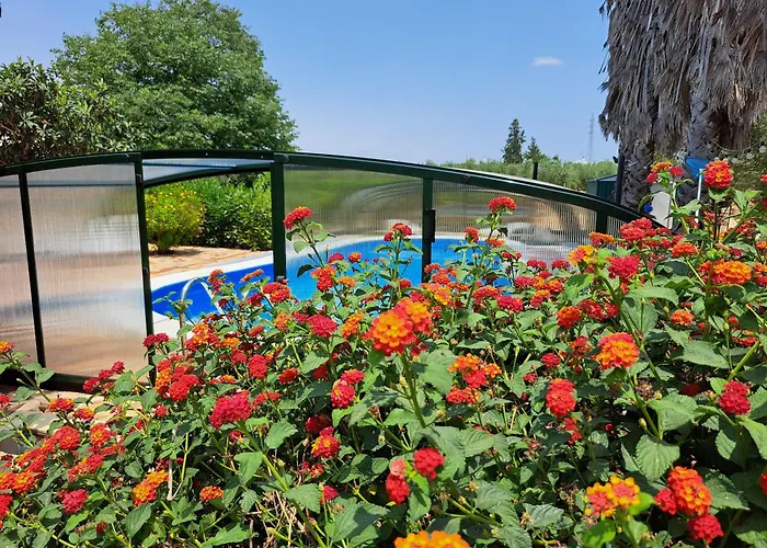 Finca-Vallestares