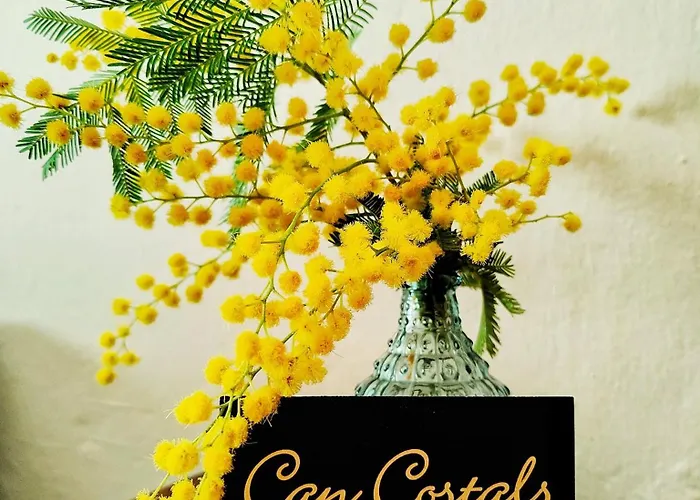Can Costals Olivo