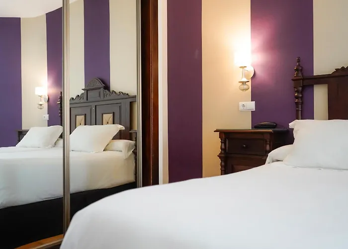 Hotel Rosaleda Don Pedro