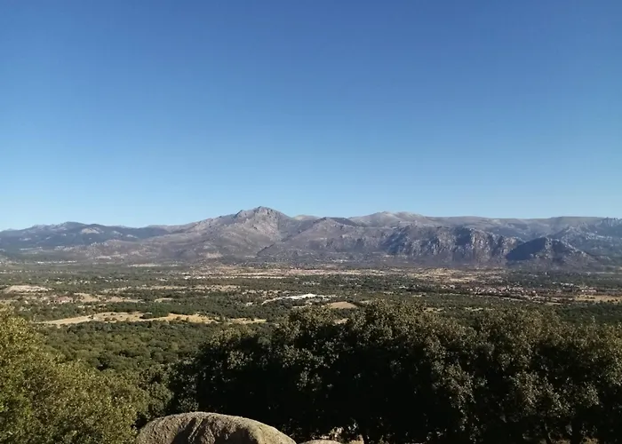 Cedrosierra