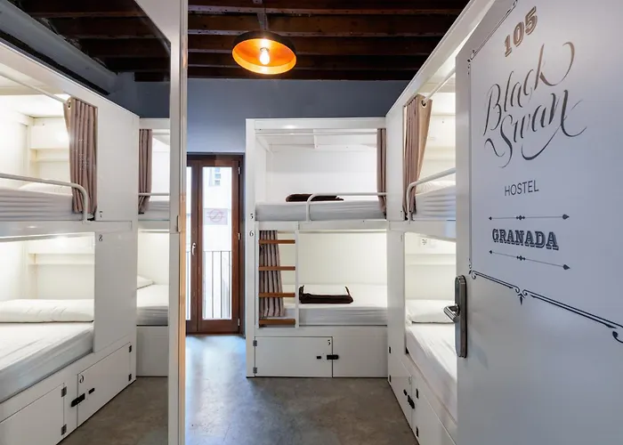 Black Swan Hostel Granada