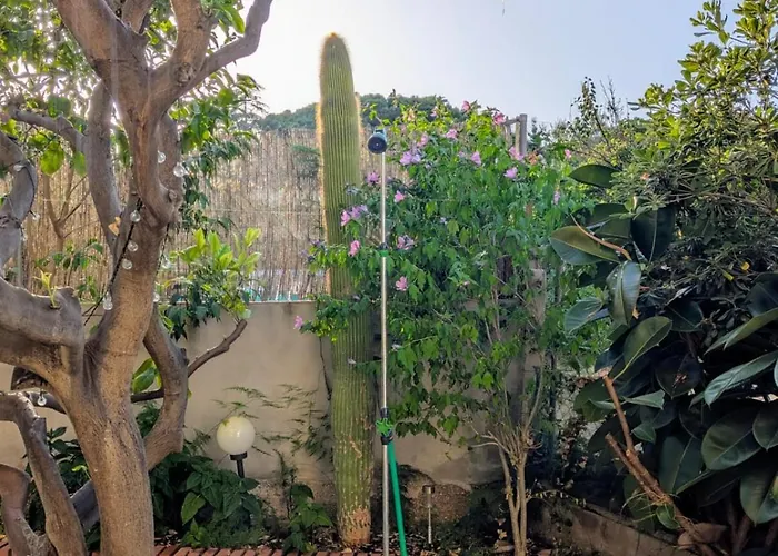 Apartament Ca L'Irene