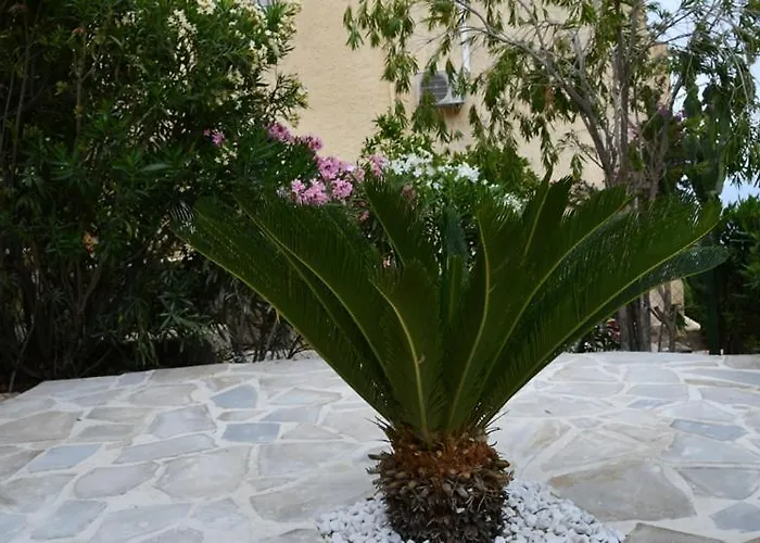 Casa Esperanza