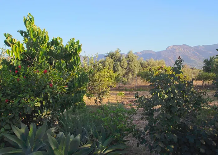 Finca La Madreselva