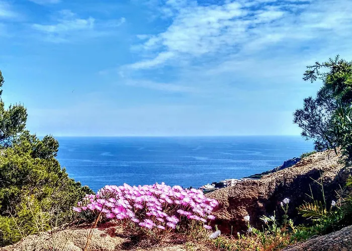 Private Villa In Sant Feliu De Guixols Costa Brava Pool Overlooking Bay
