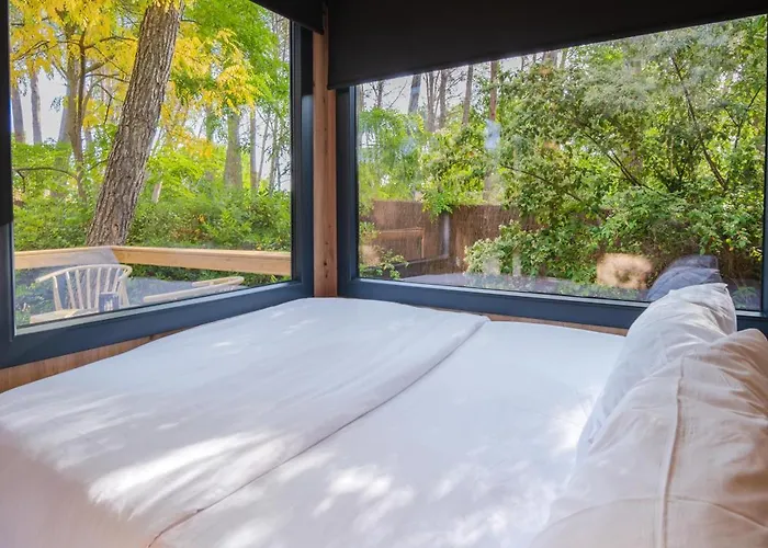 Cabanas Del Bosque Sacedon