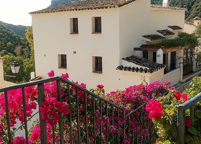 Apartamento Los Naranjos