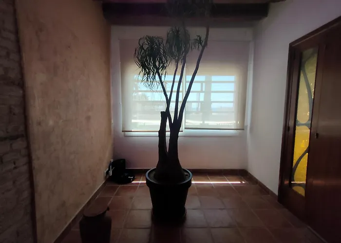 La Bellamar - Apartamento en primera línea mar-