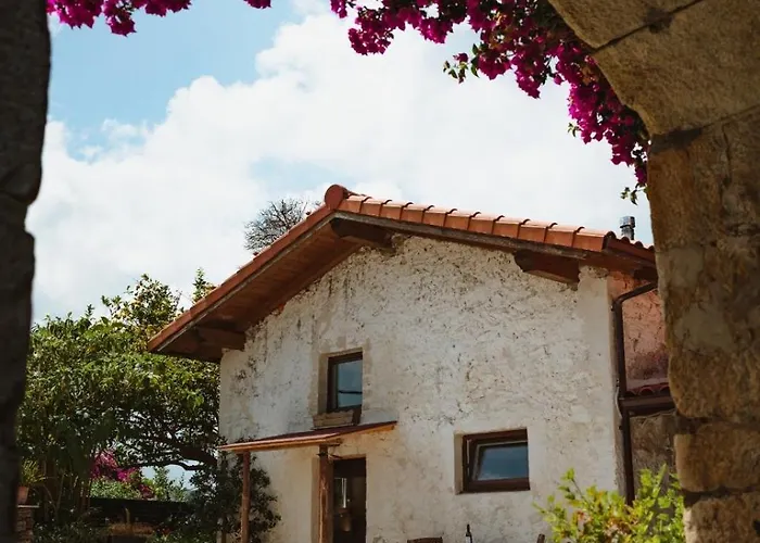 La casa de los árboles