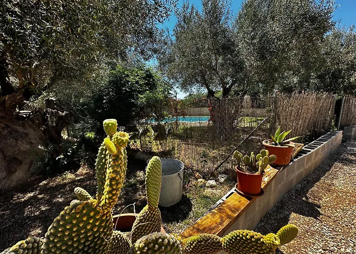 Maset Del Garraf