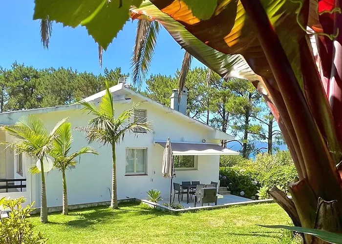 Sunny Home Near The Sea