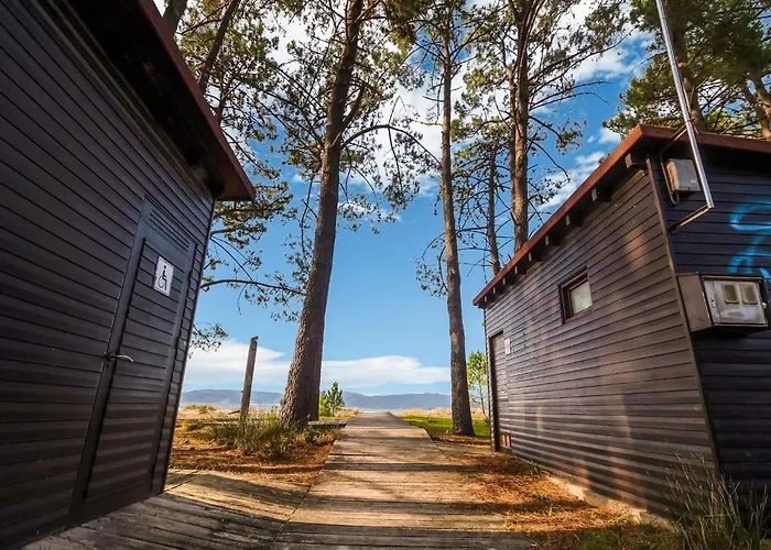 Sunny Home Near The Sea